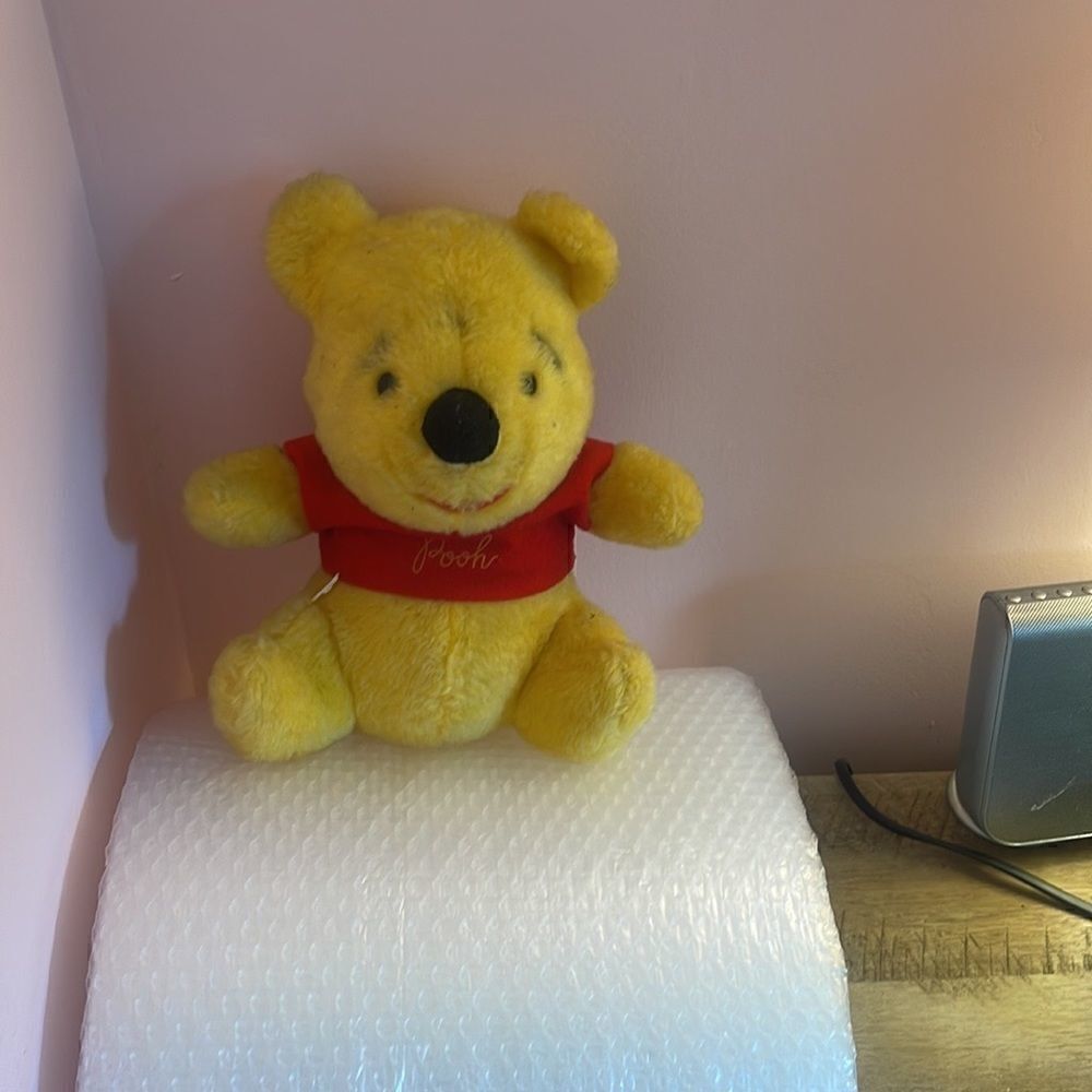 Winnie the Pooh   